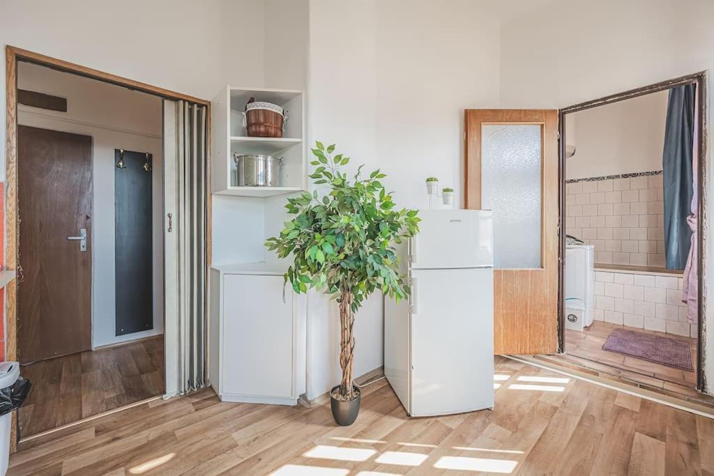 Carolina'S Romantic Apartment Hradec Kralove Exterior photo